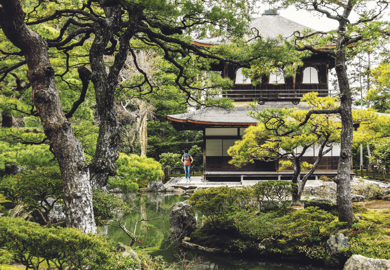 A scenic daytime view shows a lone adult figure, gender unknown, strolling alongside a serene pond within a lush Japanese garden. The scene includes a traditional wooden building nestled among an abundance of trees and manicured greenery. Reflections ripple across the water's surface, adding depth and tranquility. This peaceful image is ideal for travel brochures, nature-themed websites, or promotional material seeking to evoke serenity and appreciation of natural beauty. The lush setting and distant figure create a sense of wonder and wanderlust, making it perfect for inspiring travel and reflection.