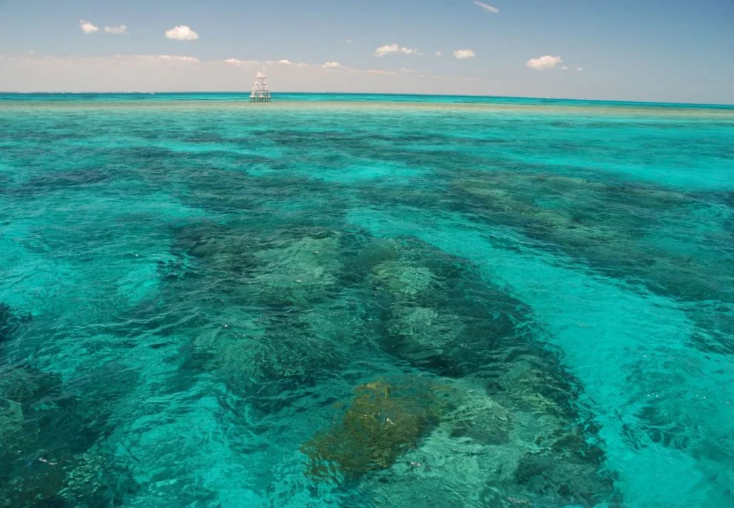 John Pennekamp Coral Reef State Park, Florida Keys.