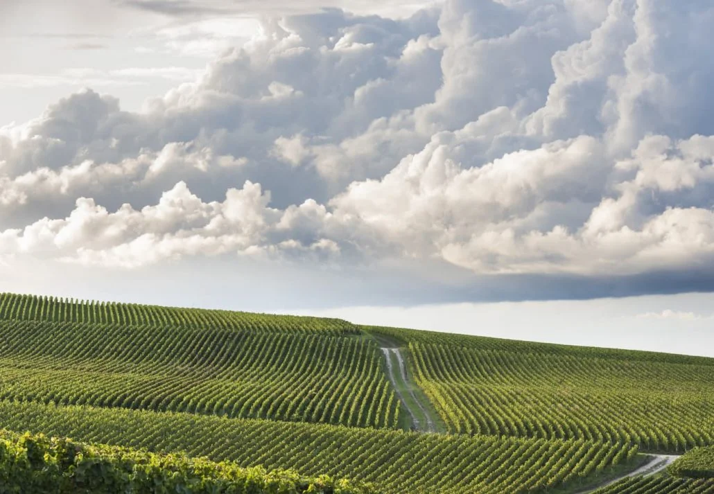 Day trips from Paris - Champagne Region