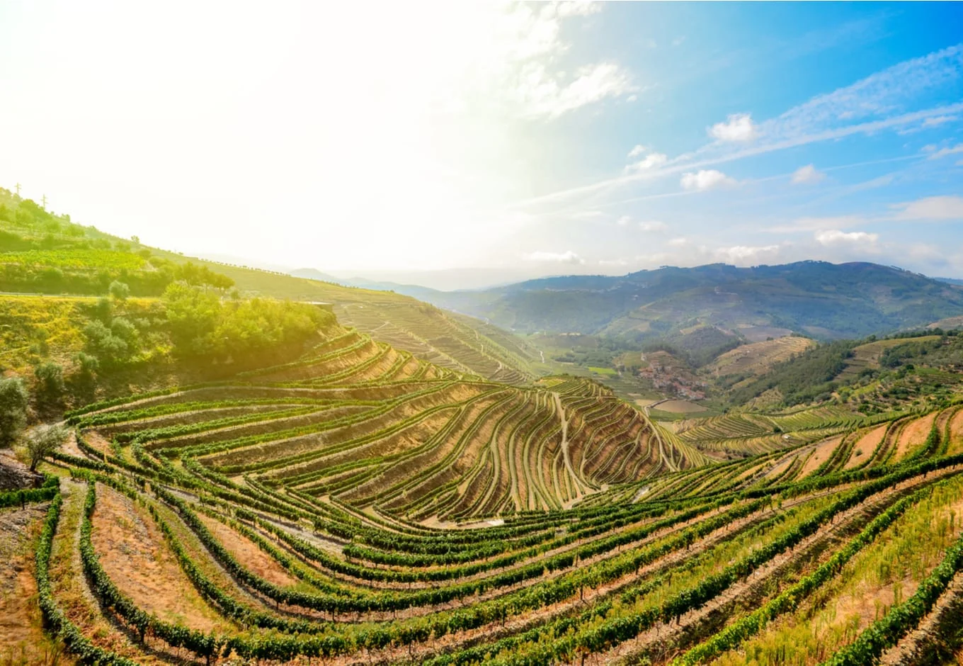 The Douro Valley, a pemium wine growing region in Portugal.