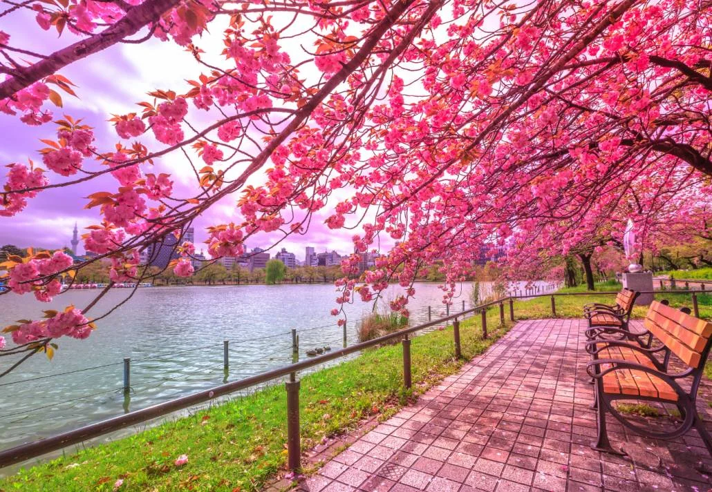 Places to visit in Tokyo