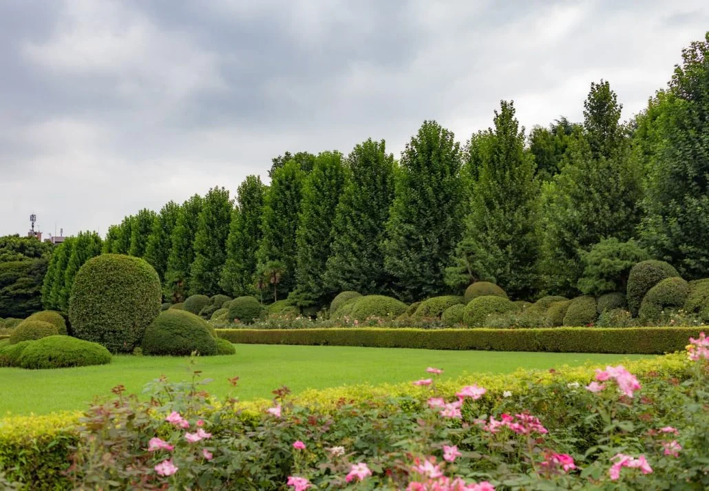 Shinjuku Gyoen National Garden