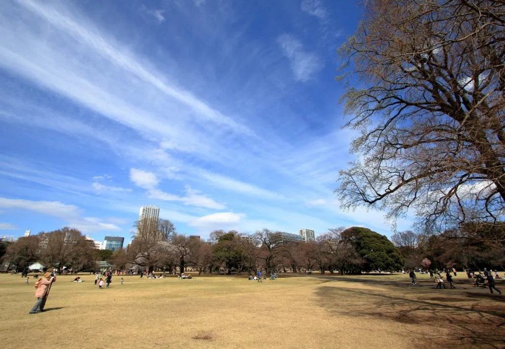 Shinjuku Gyoen National Garden
