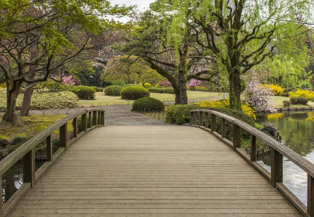 Shinjuku Gyoen National Garden