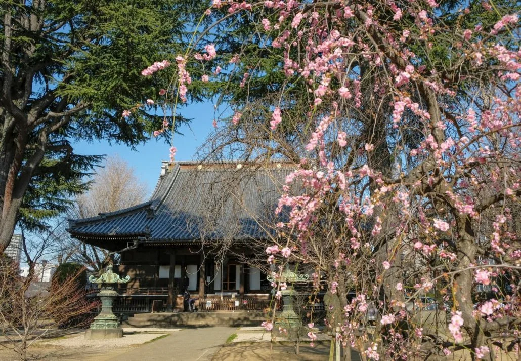 Ueno Park - Kaneiji Temple