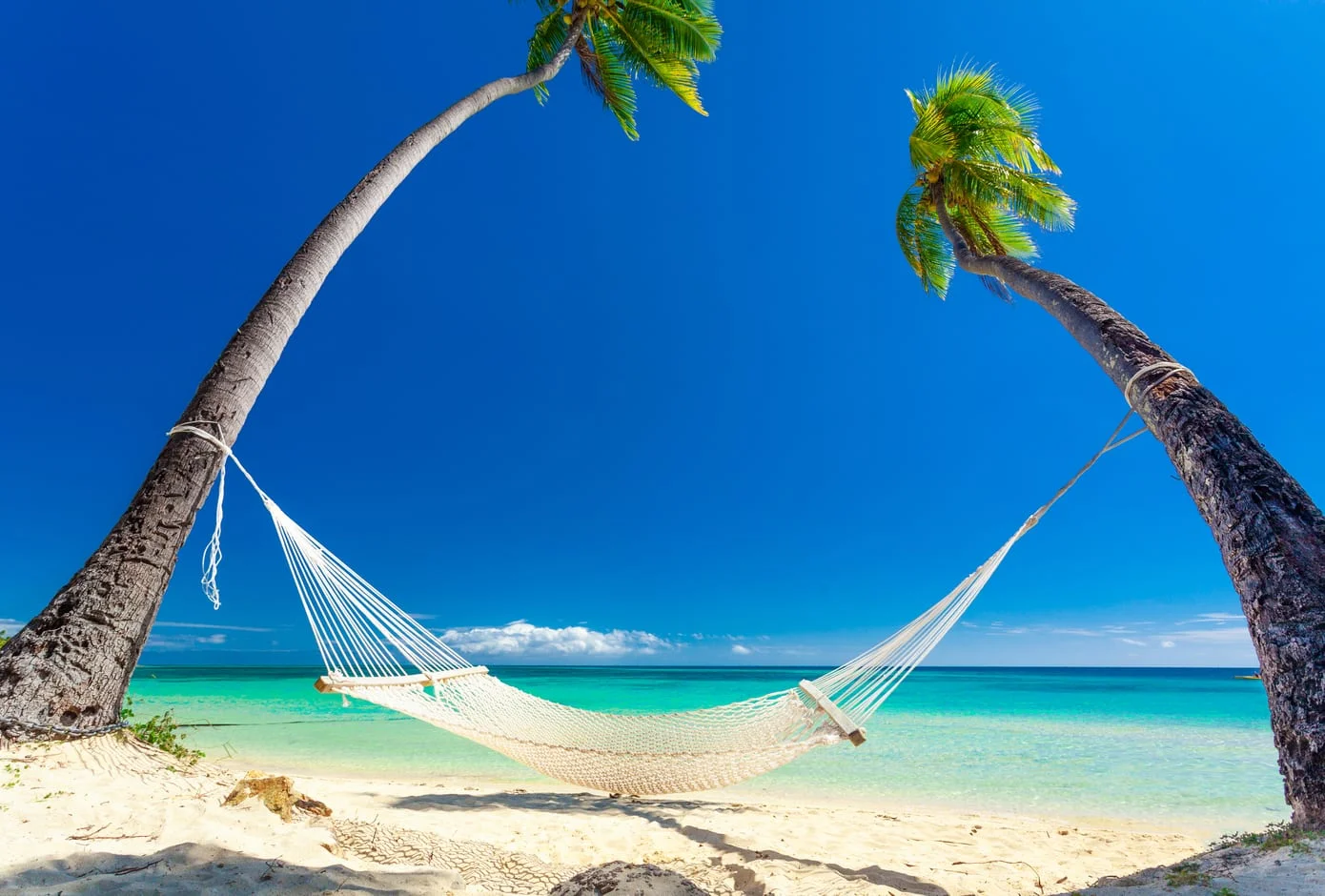 Empty hammock in the shade of palm trees on Fiji Islands 