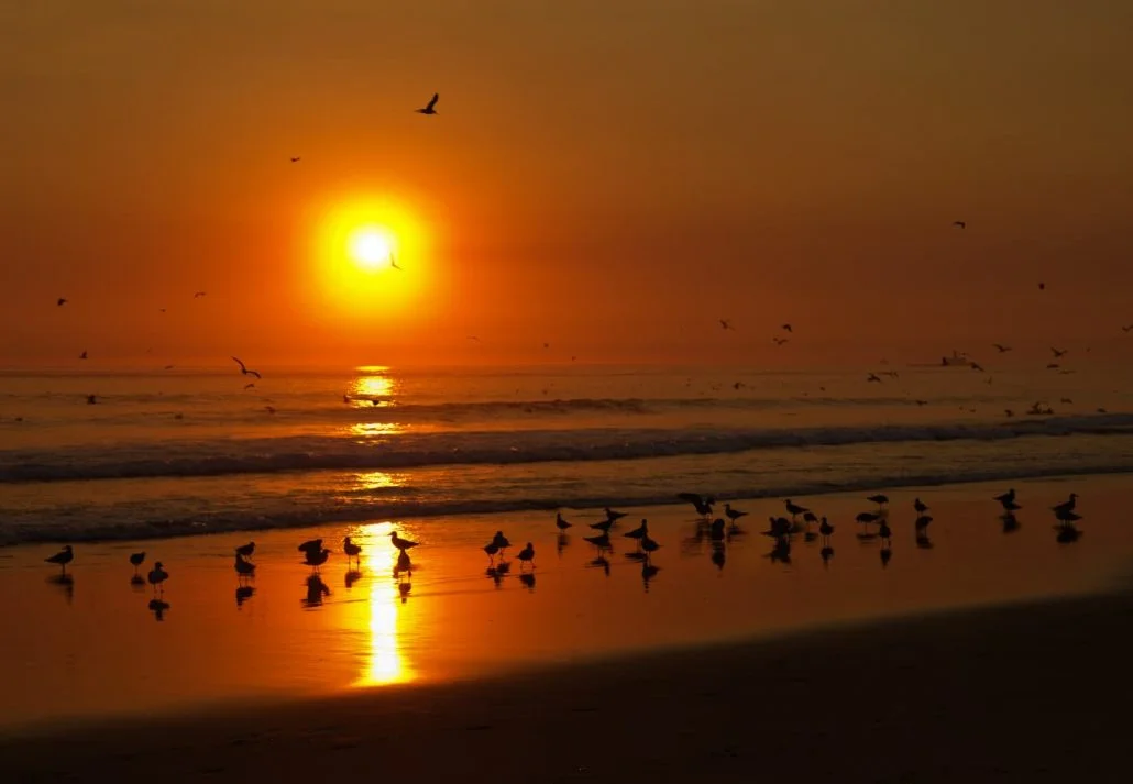 Beaches Near Lisbon - Costa Da Caparica