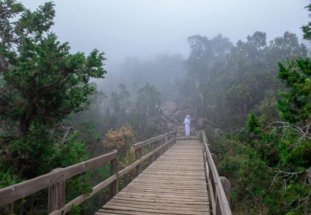 Al Soudah Park