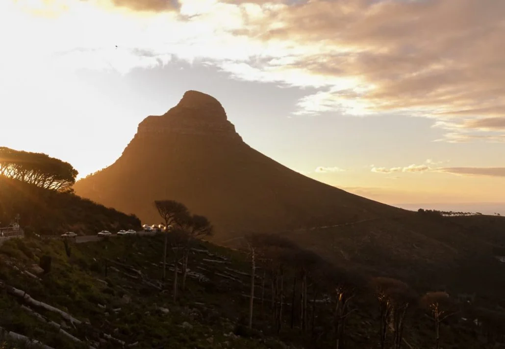 Lion's Head 