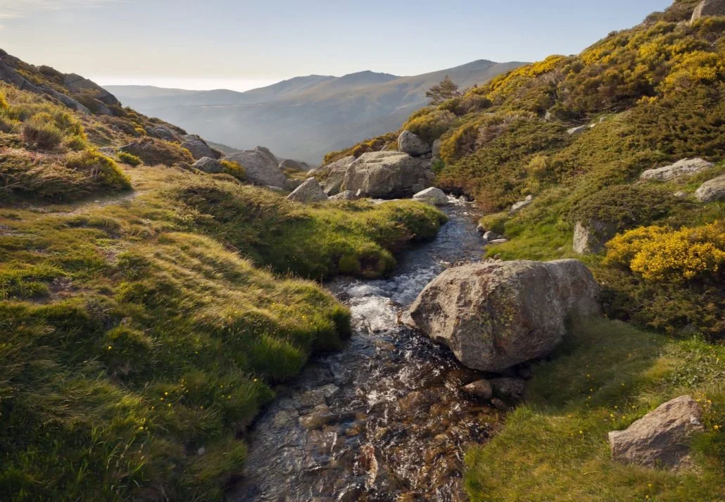 Sierra de Guadarrama Mountains, Spain.