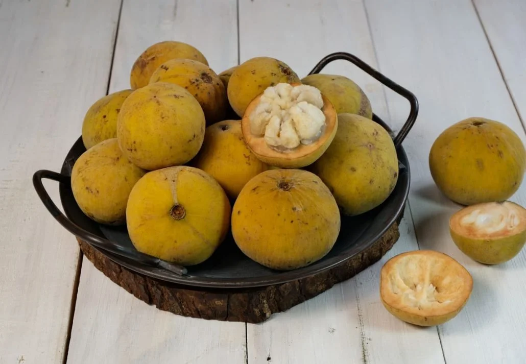 Wild mangosteen