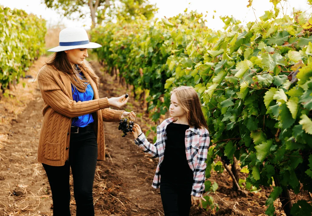 
Young beautiful girl and little child walking through a vineyard