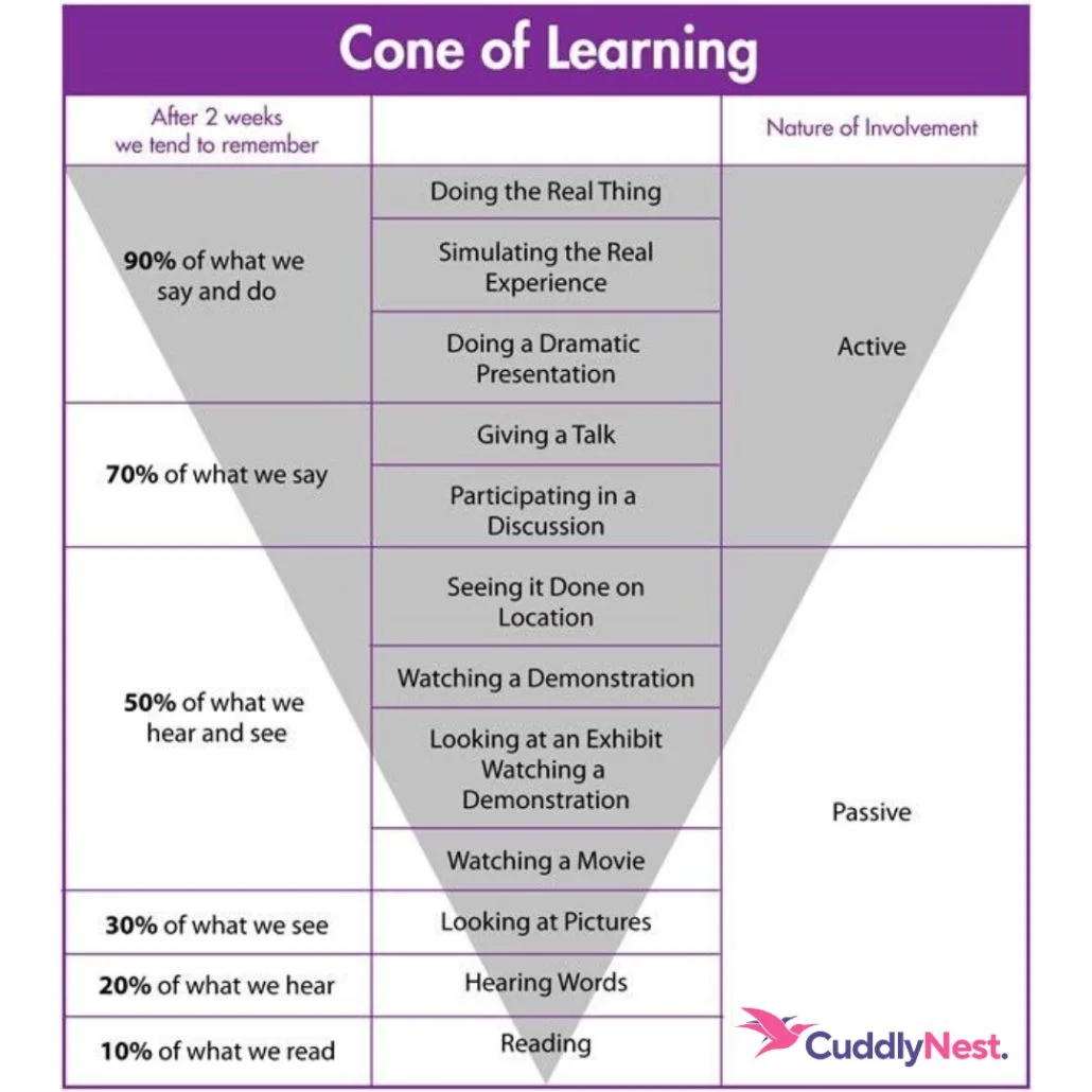 cone of learning online course