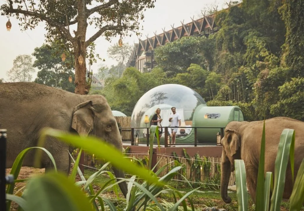 Unusual hotels around the world - Anantara Golden Triangle Elephant Camp