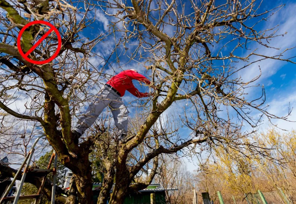 Weirdest laws around the world