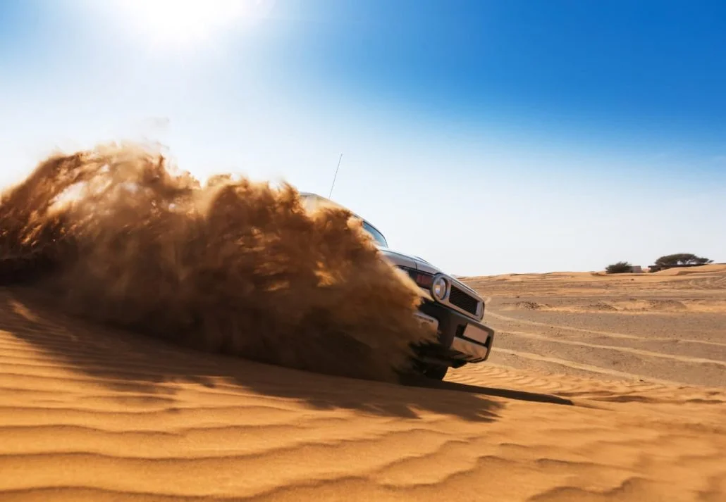 Day Trips From Dubai - Desert Excursion