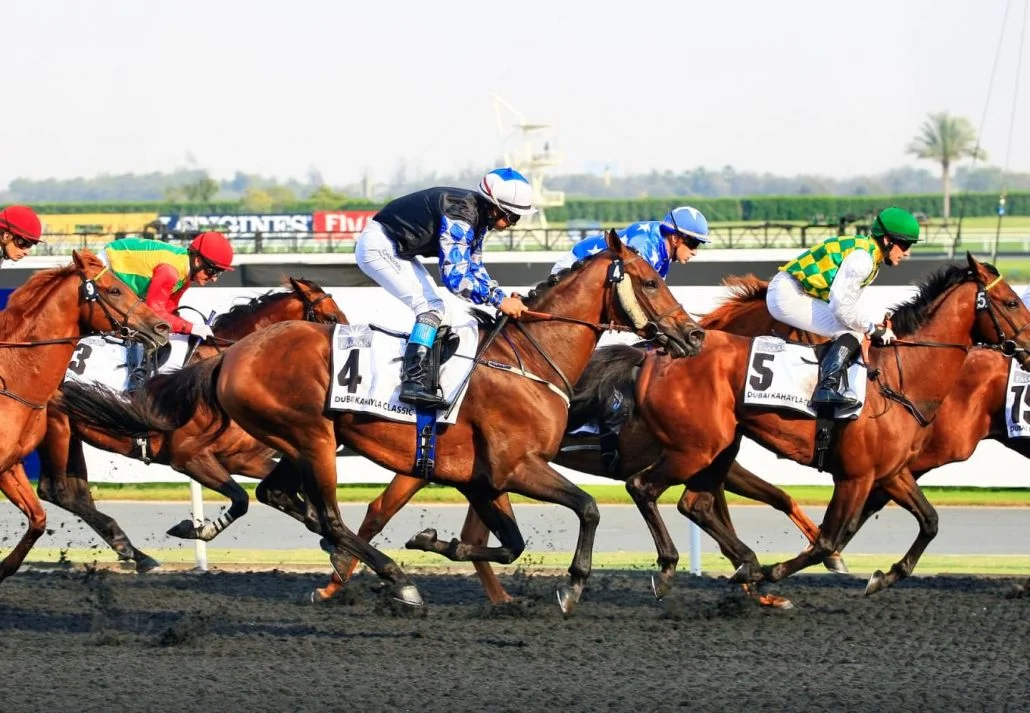 Horse Racing In Dubai - Dubai World Cup