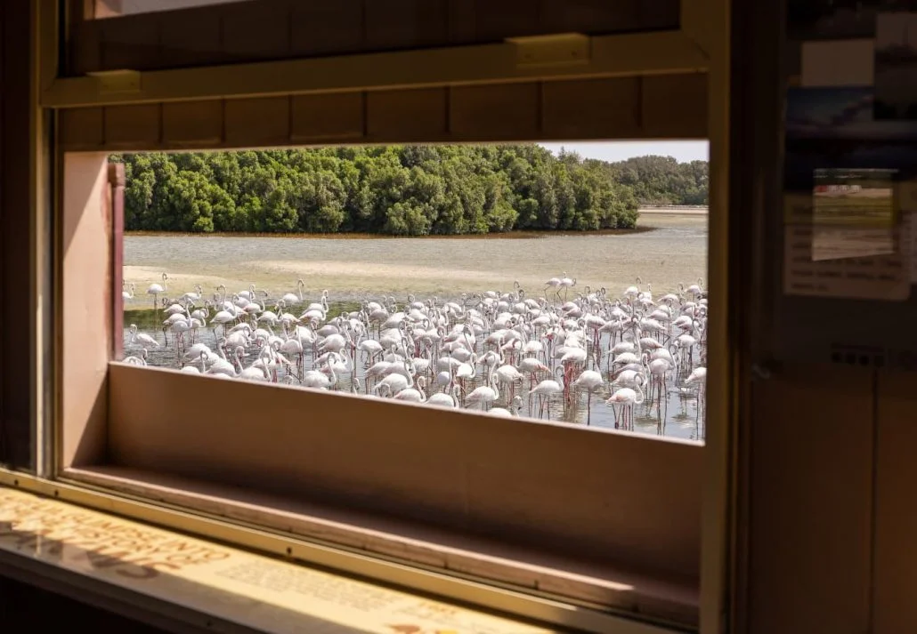 The hides at Ras Al Khor Wildlife Sanctuary