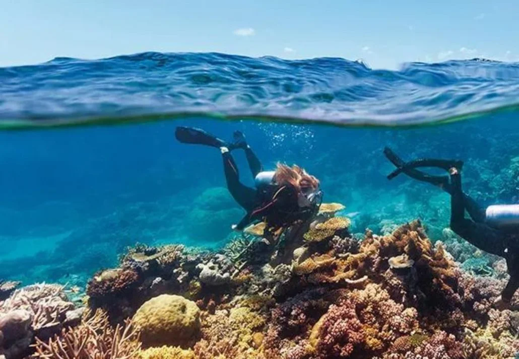 Snorkeling In Dubai