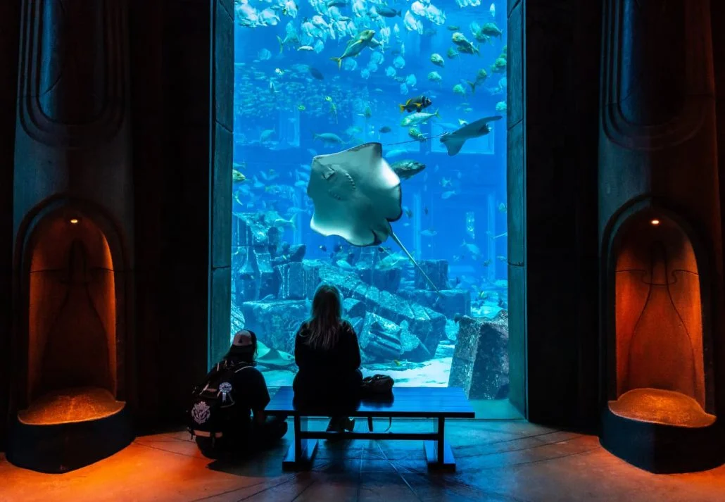 Snorkeling in Dubai - Lost Chambers Aquarium