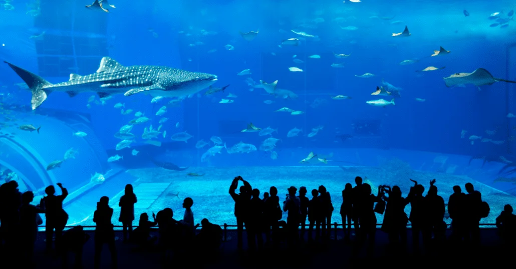 Dubai Aquarium and Underwater Zoo