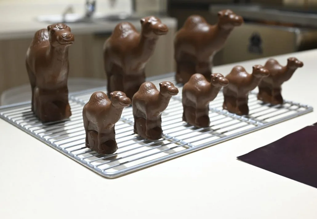 What to buy in Dubai - Camel Milk Chocolate