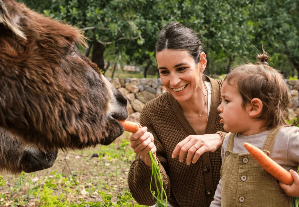 Happy mother with toddler feeding funny donkeys