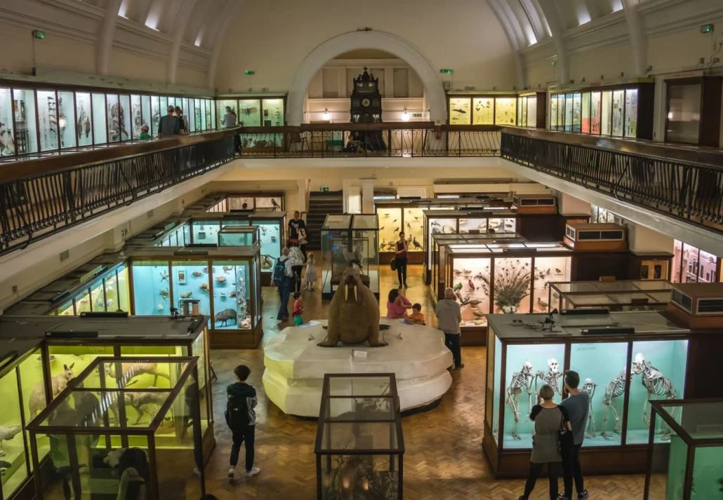 London Museums - Horniman Museum and Gardens, London, UK.