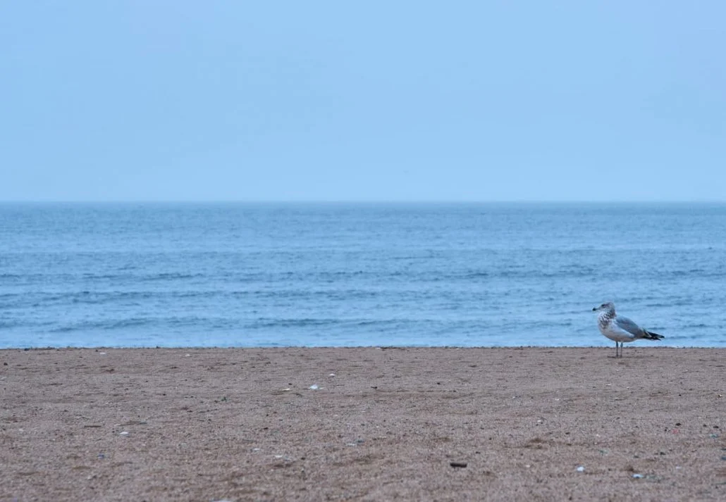 Midland Beach, Staten Island