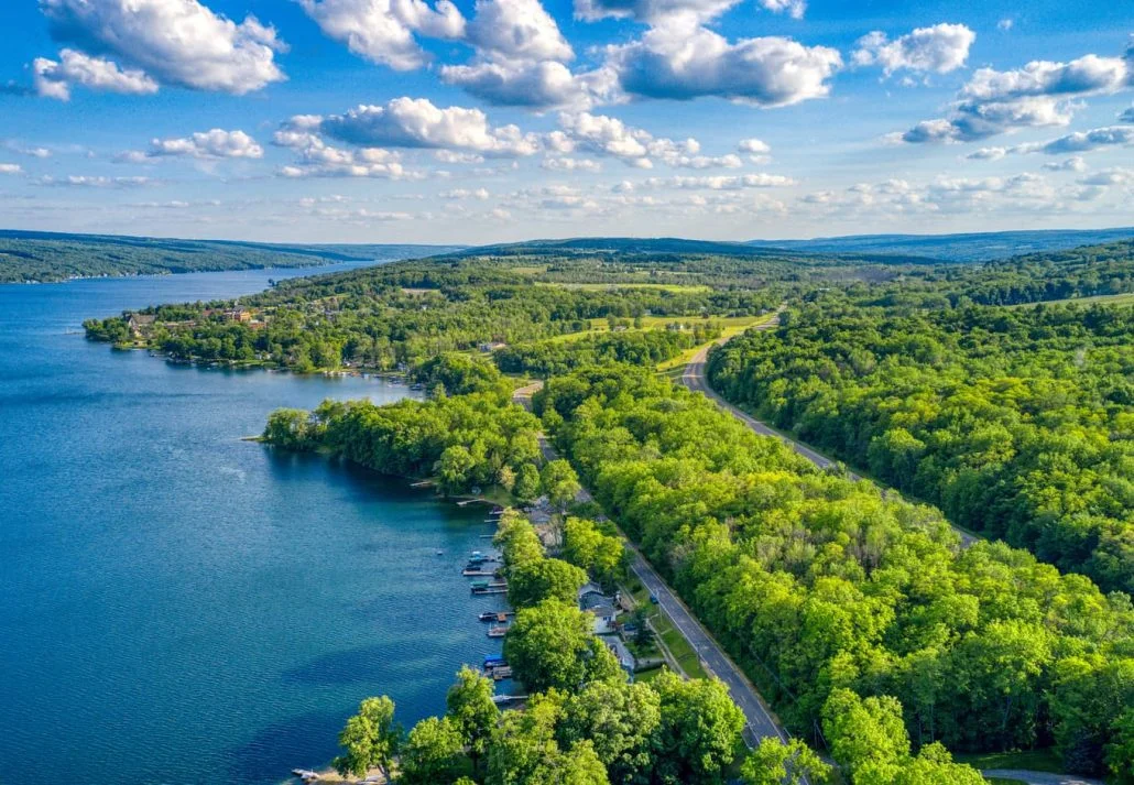 Keuka Lake (Finger Lakes) surrounded by green trees during the summertime.