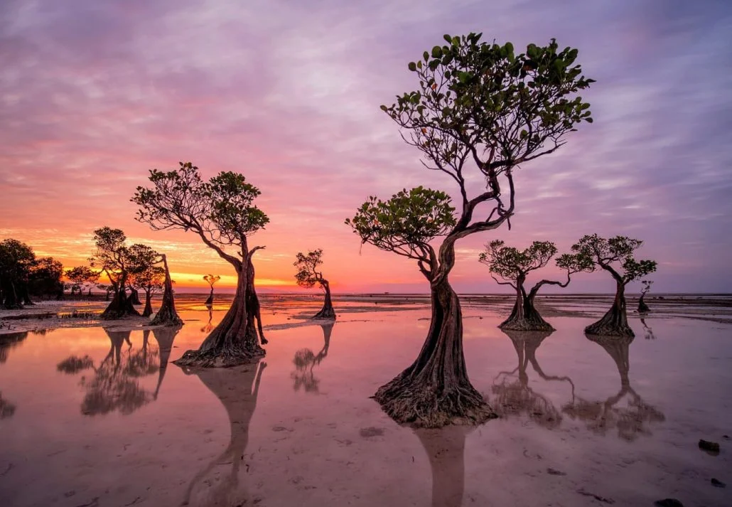 Destinations without crowds - Sumba