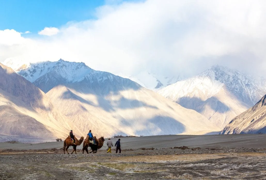 Caravan of people riding on camels in dusty Nubra valley dune with majestic mountain peaks background.