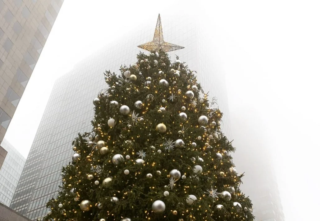 Picturesque Christmas Tree In South Street Seaport