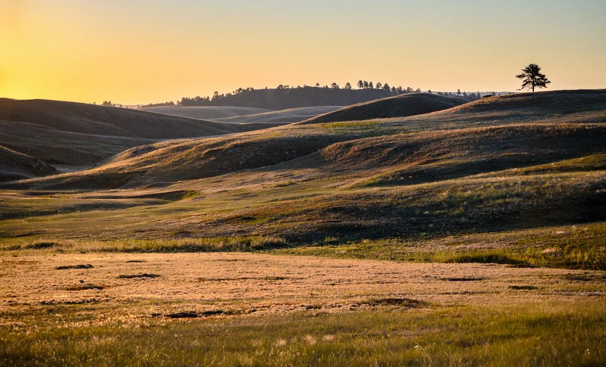 wind cave national park