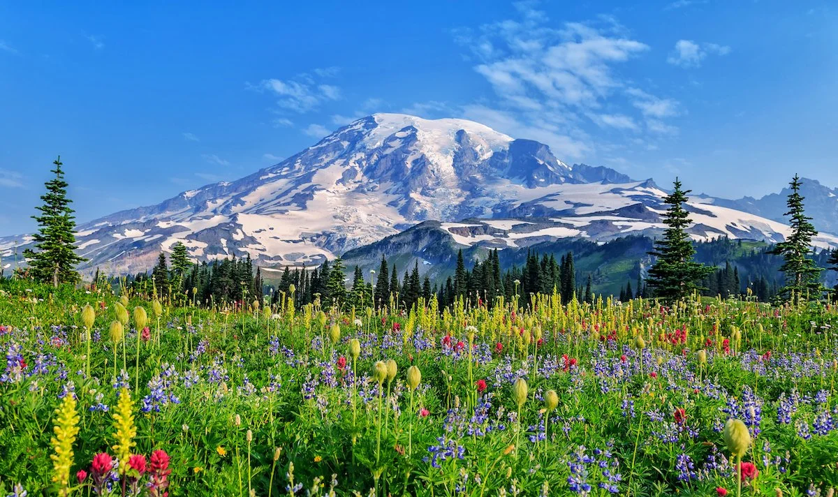 mount rainier national park