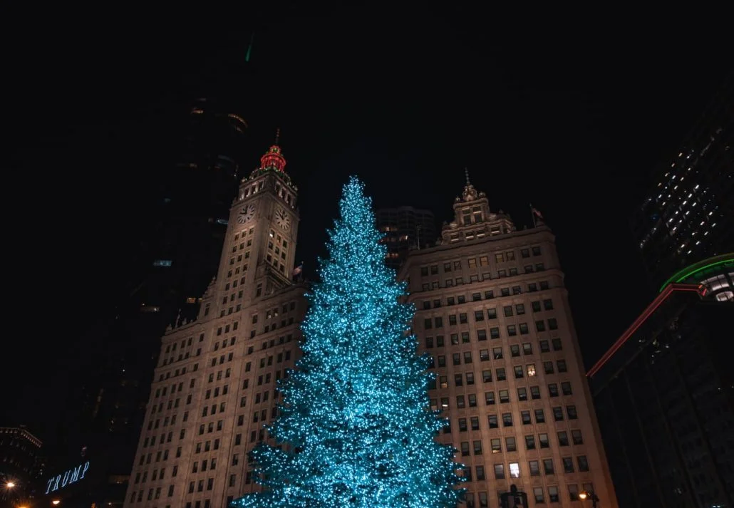Chicago in winter