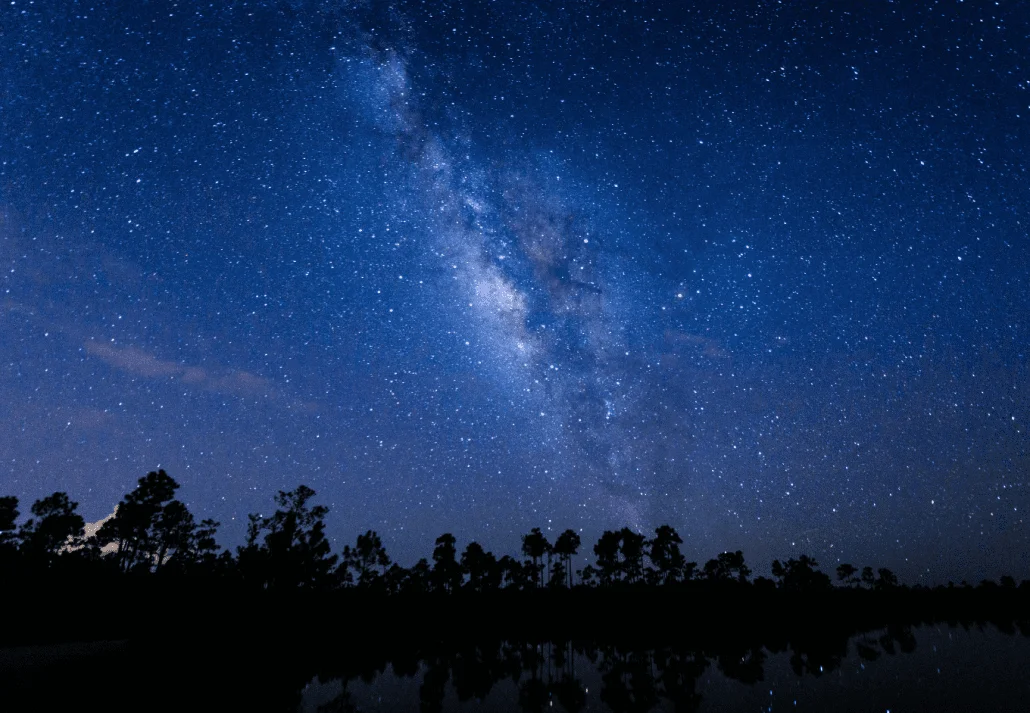 Everglades National Park Night Sky