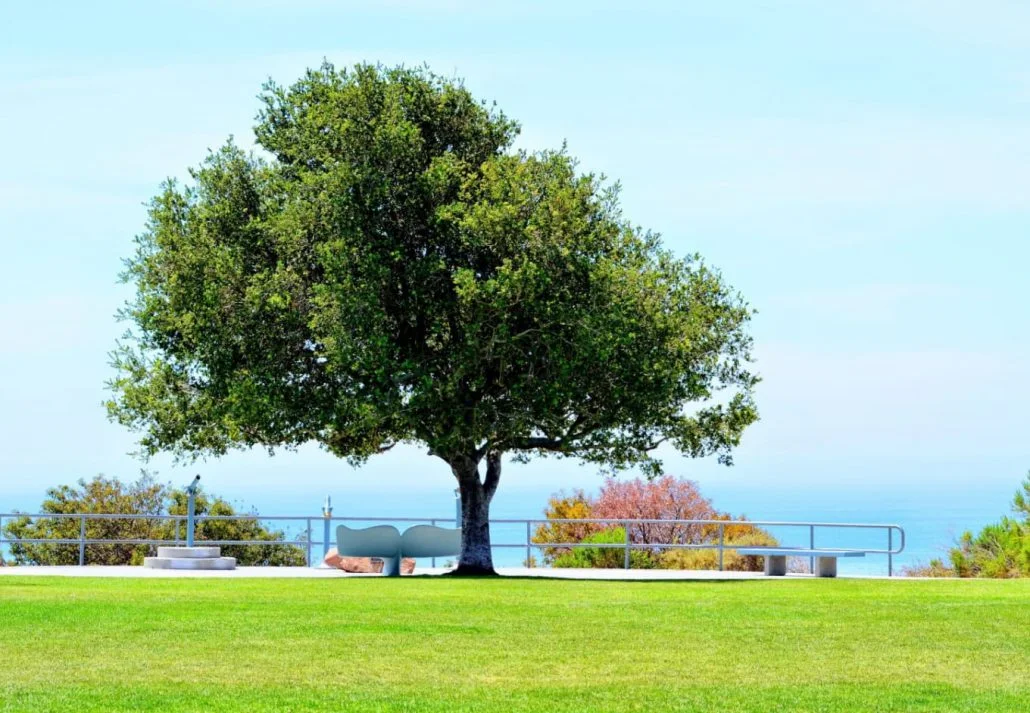 Malibu Bluffs Park