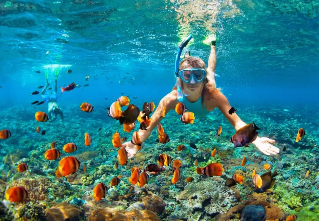Honolua Bay Marine Reserve
