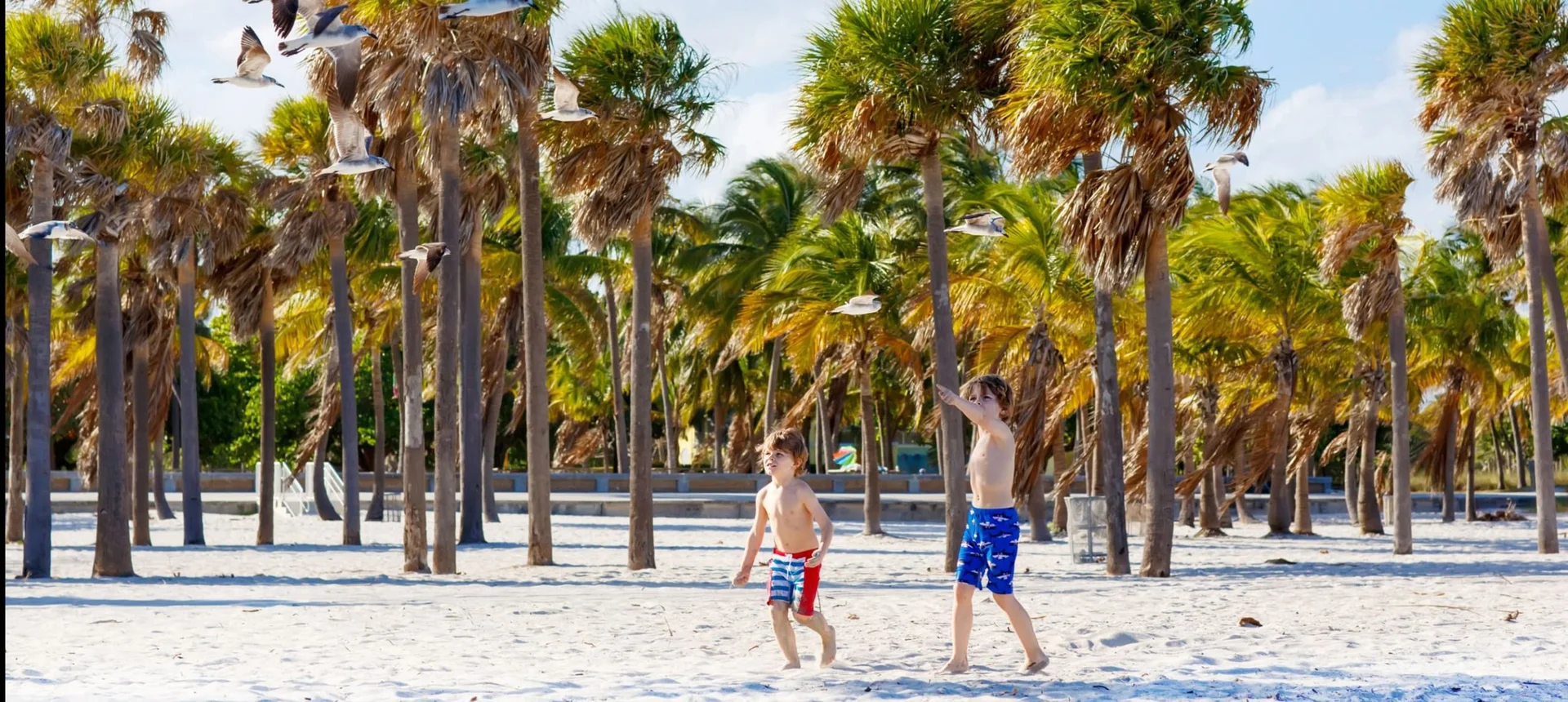 25 Amazing Things to Do in Miami With Kids - CuddlyNest