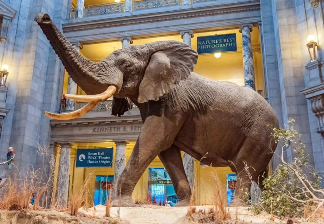 Smithsonian National Museum of Natural History