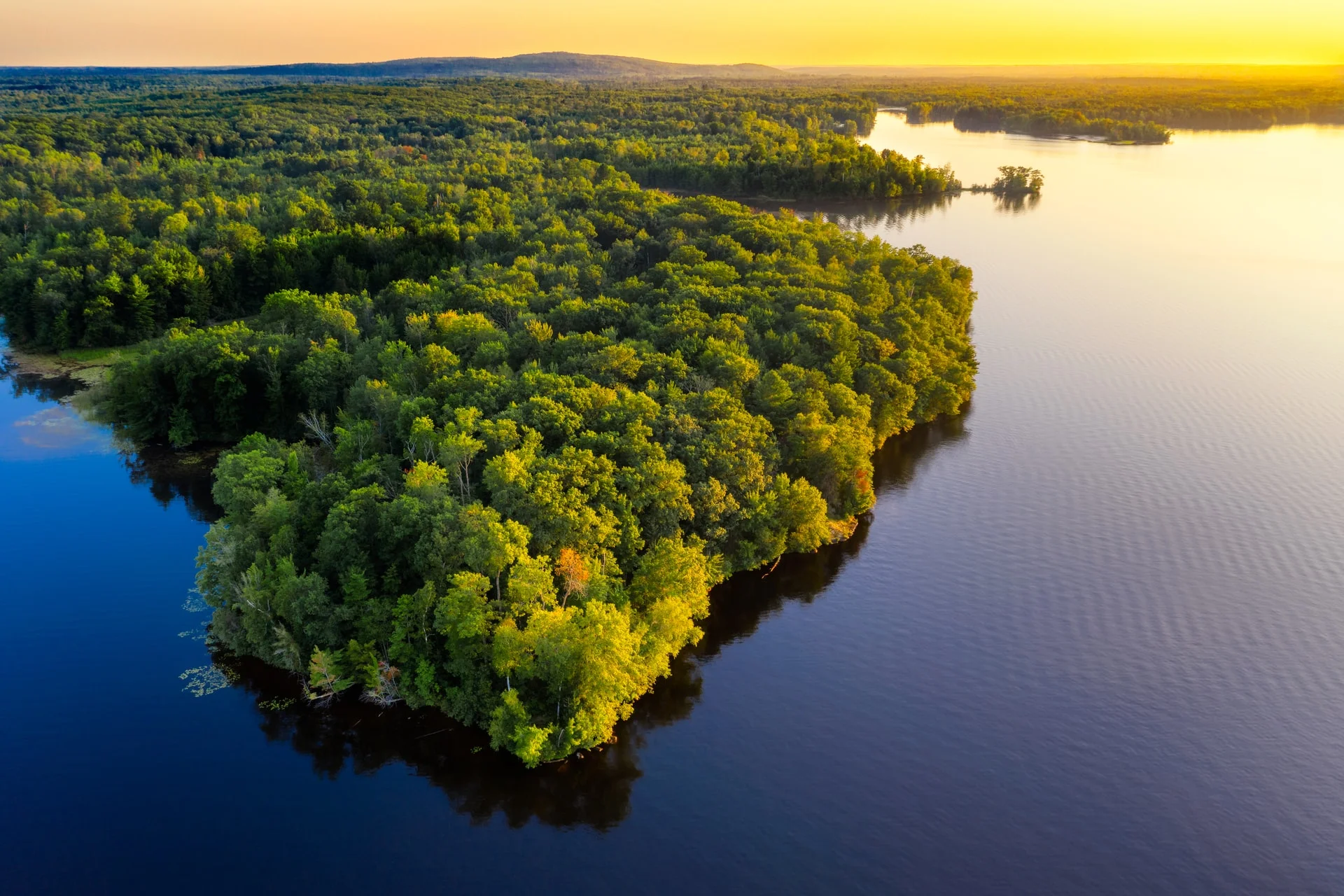 world rainforest day amazon